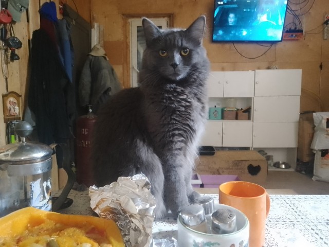 Гарик, Гарик, Игорёк