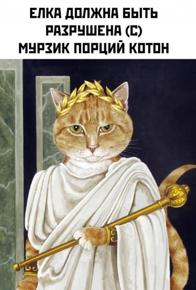 Так себе картинки 12.12.21