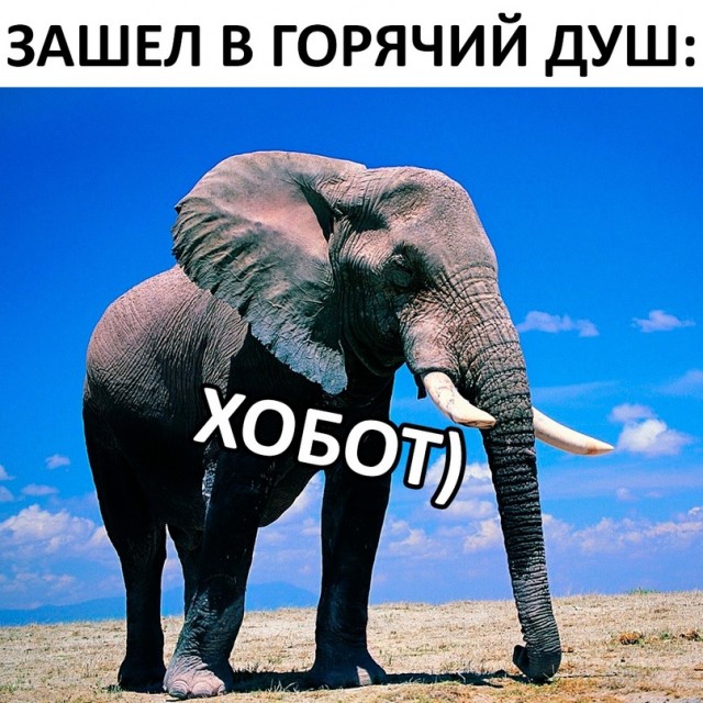 Немного картинок для настроения - 137