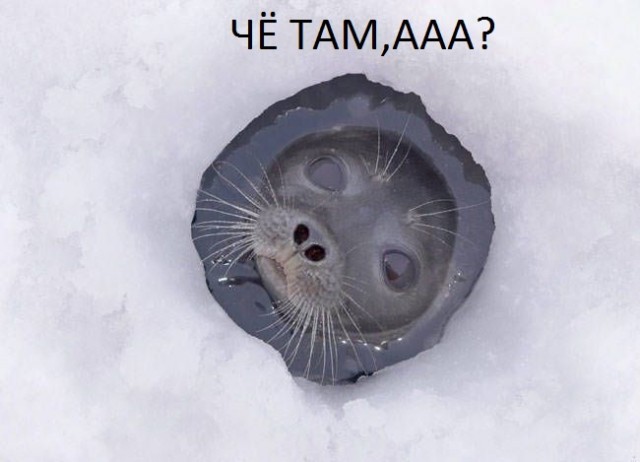 В Корее новый закон