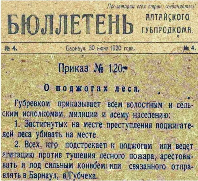 Вот так и поджигают диверсанты леса.