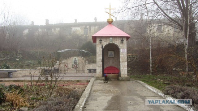 Крым в феврале или "Не стреляйте в белых лебедей!"