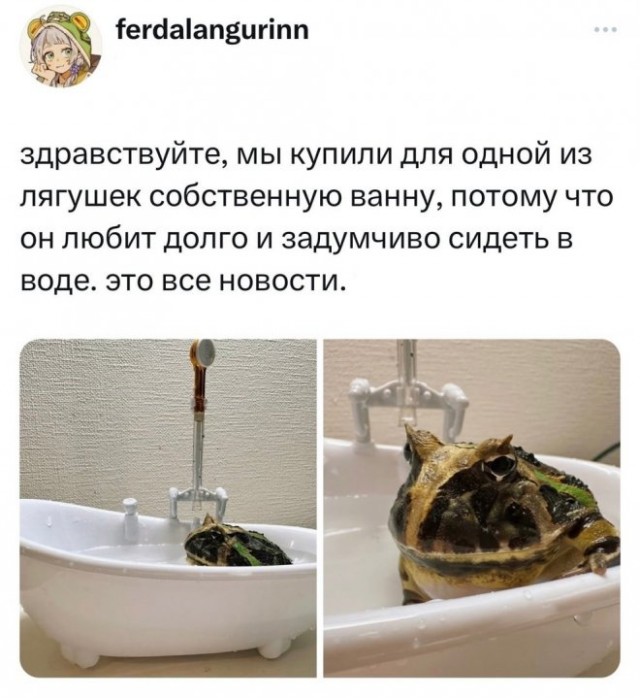 Картинки и мемы, всяко разно - 185