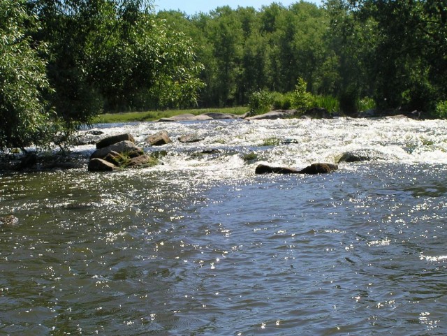 Сплав. Южный Буг.