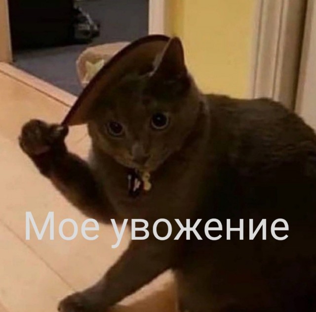 Русскоговорящий житель Израиля попросил Зеленского больше не присылать свою супругу в Израиль