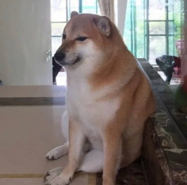 Умер пёс-герой Doge мема