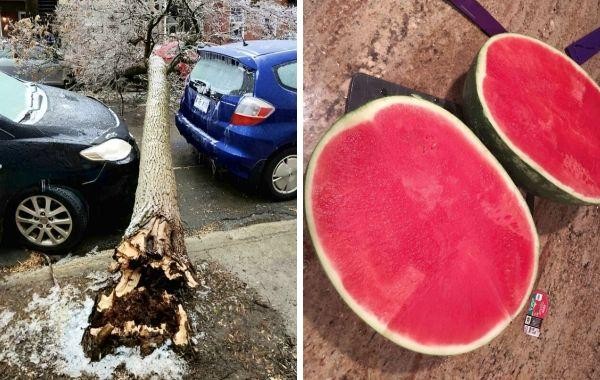 16 счастливчиков, которым улыбнулась удача, и они поделились своей радостью с другими