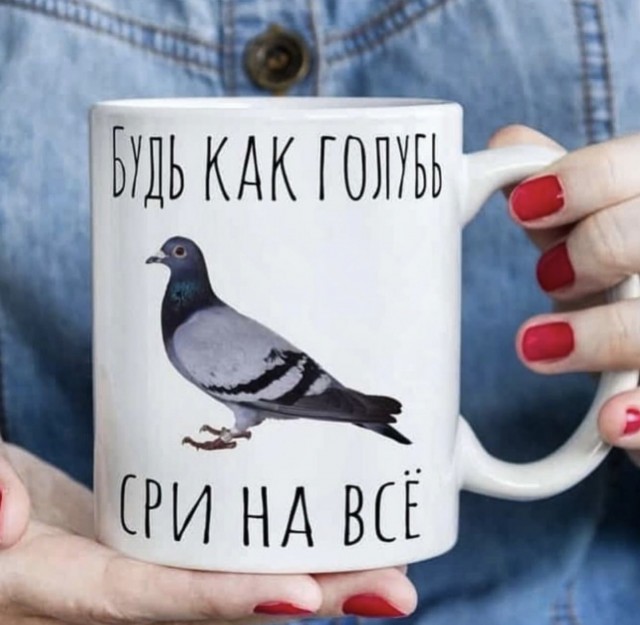 Нуштош 08.11.2023
