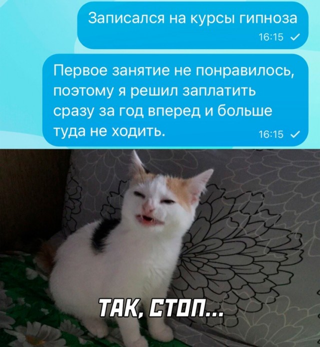 Весёлый полтишок 19.11.23