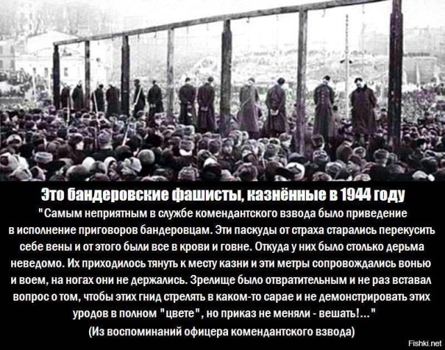Поговорил с родственниками в Киеве. Мысли, что будет дальше