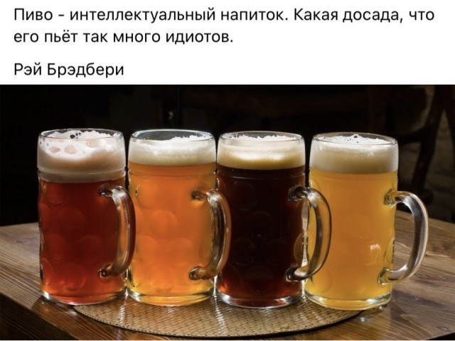 Весёлый полтишок 06.02.24