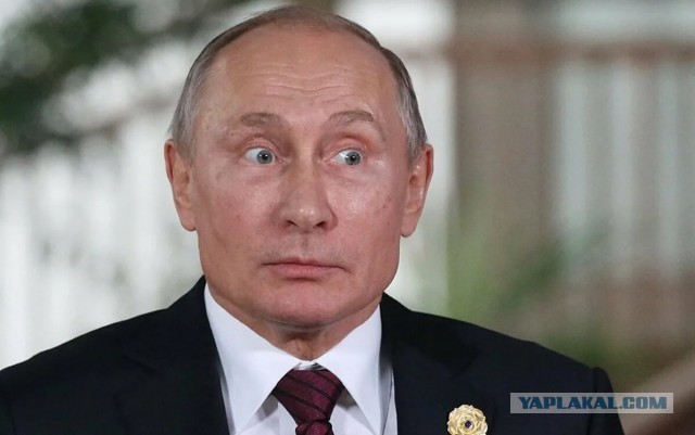 Фемактивистка из Казани увидела грудь в логотипе бренда одежды