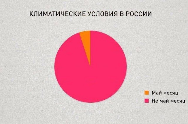 Всего понемногу. От 22.05.2024