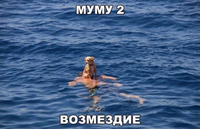 Никакие картинки