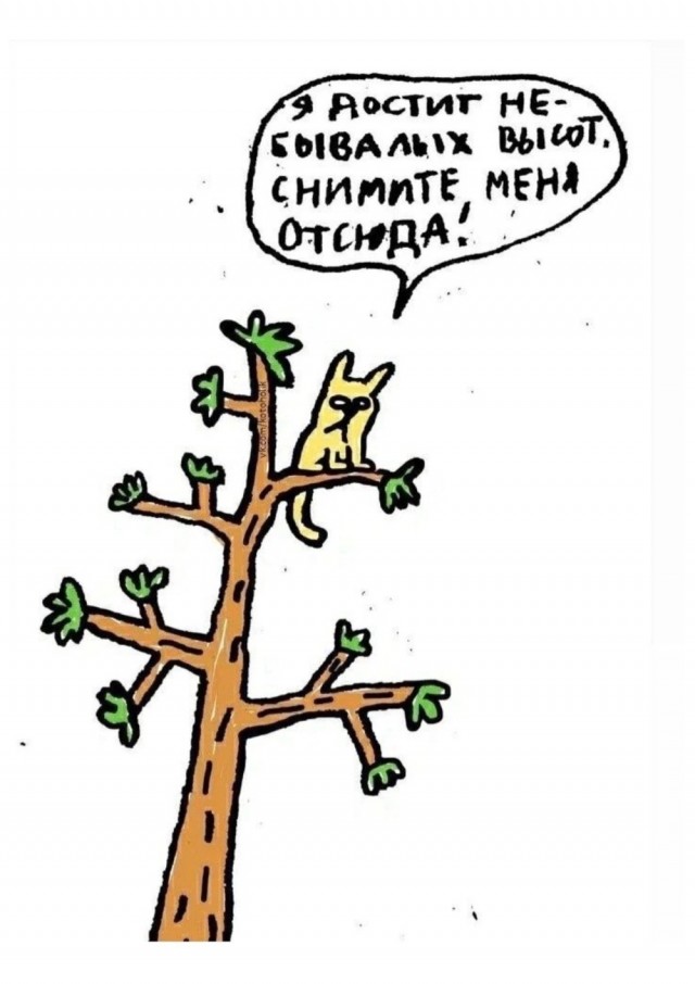 Никакие картинки и тексты