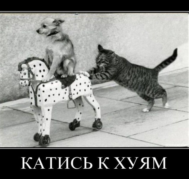 Когда закончился срок годности