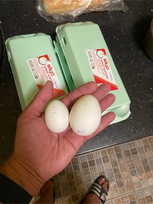 Красно-белые яйца