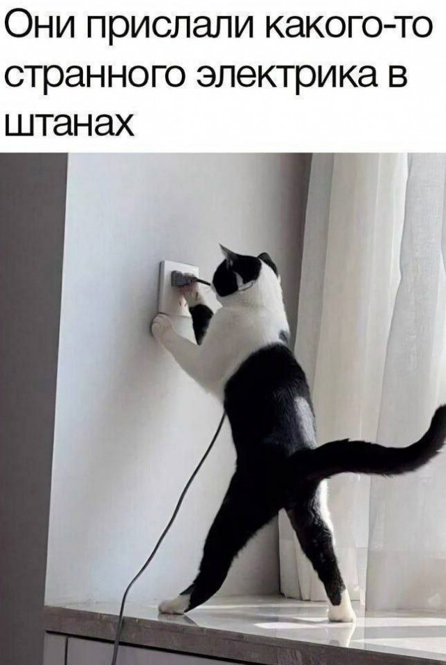 Завалялось тут случайно немного забавных картинок
