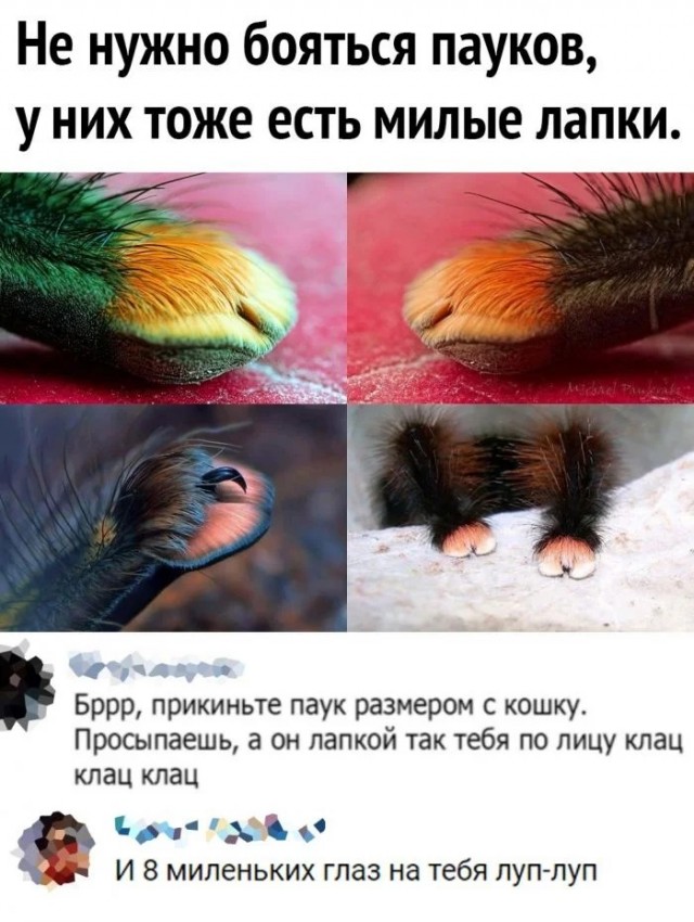Завалялось тут случайно немного забавных картинок