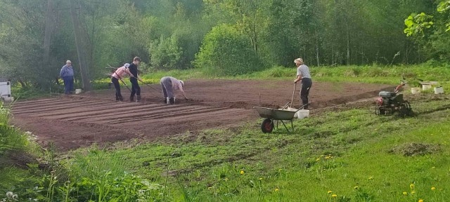 Урожай