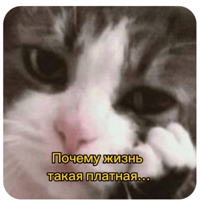 Нуштош 19.09.2024