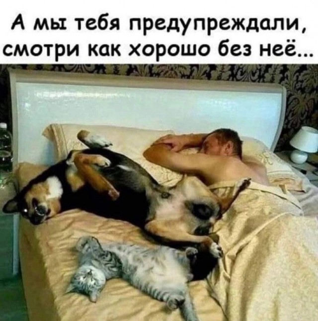 Так себе картинки 08.12.24