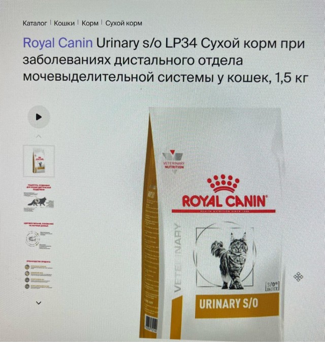 Помогите советом, кот приболел.