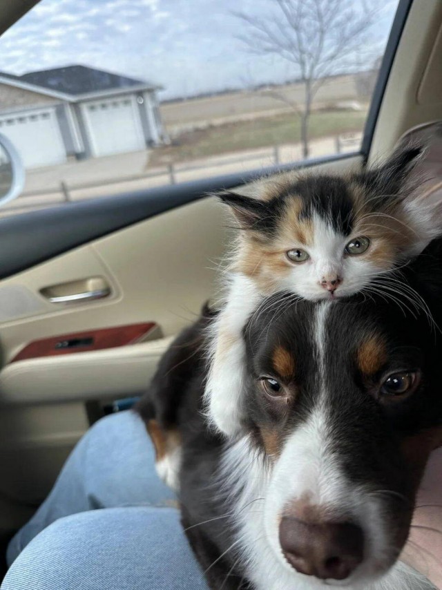 Прикольные и просто красивые картинки 10.01.2025