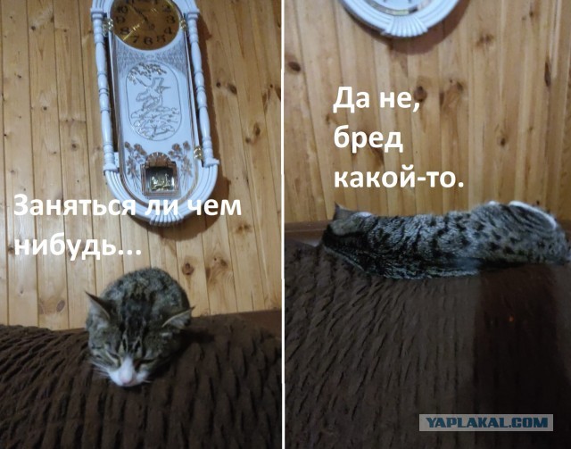 Вот и я стал рабом