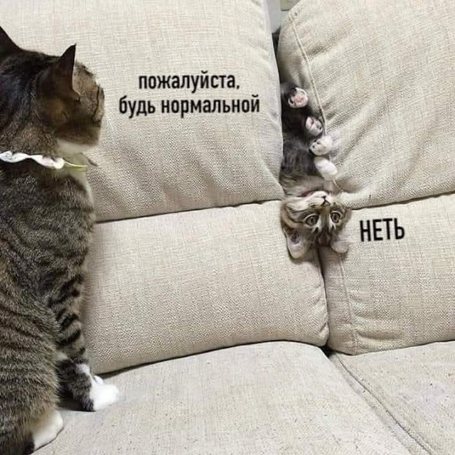 Маленькая пятница 05.03.25