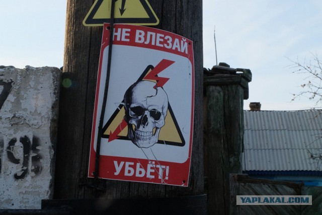 В Госдуме считают, что люди сами виноваты в том, что становятся жертвой мошенников