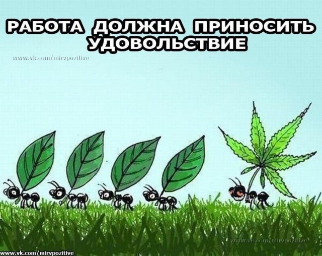 Веселые картинки в маленькую пятницу (09.04)