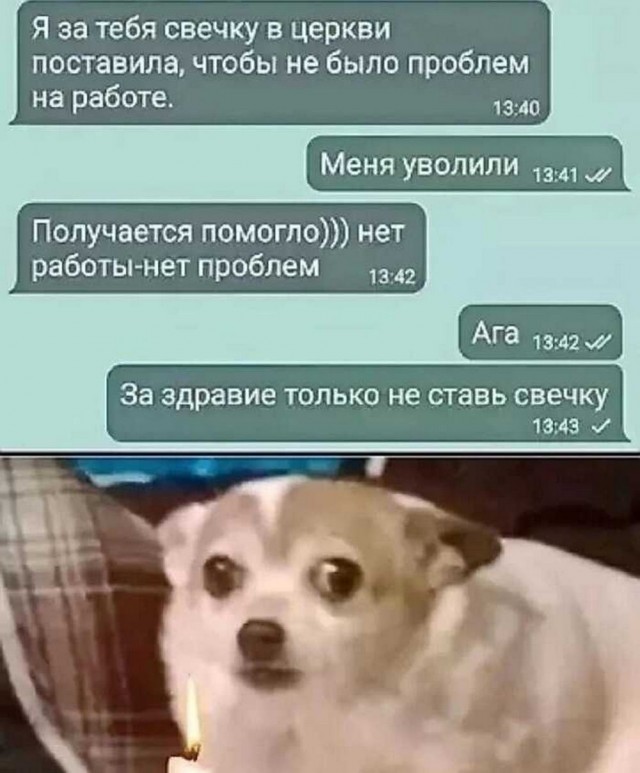 Своеобразный юмор картинок