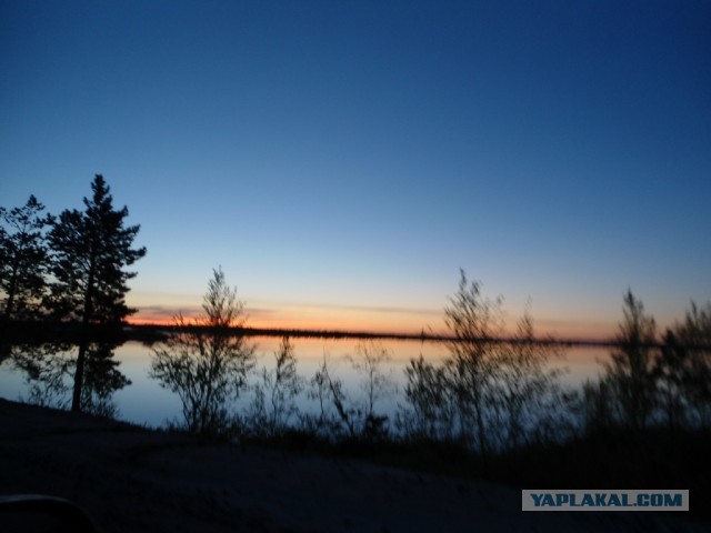 Красота! Лето на Ямале. Фото