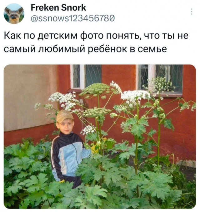 Подборка юмора в буквах за день