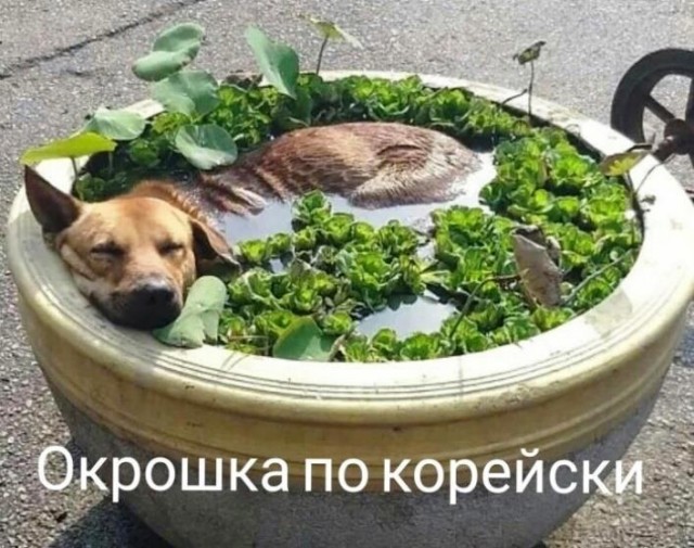 Архив старых картинок №2