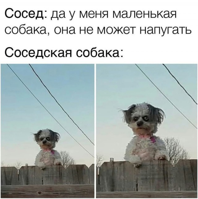 Так себе картинки 13.08.25