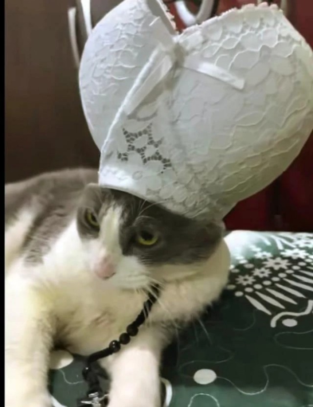 Какой там дым пошёл?