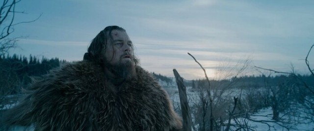 Новозеландец рассказал, как выжил в схватке с двумя медведями в Японии