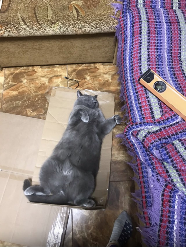 Уснул, пока дела делал