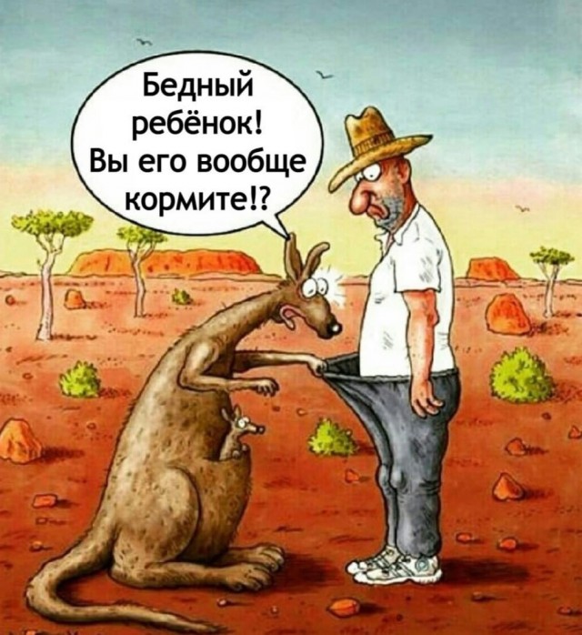 Так себе картинки 28.10.25
