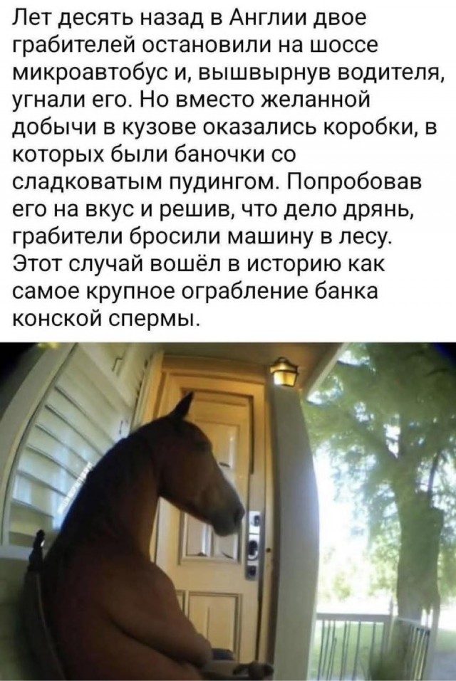 Женоненавистничество