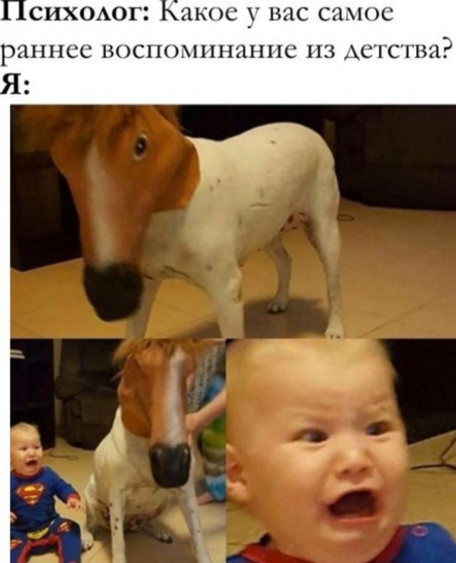 Картинки для деградации 91 (разной степени свежести)