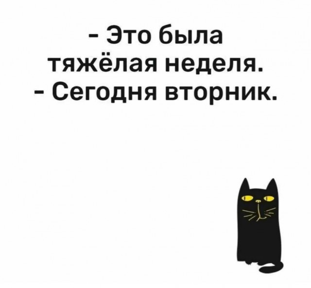 Веселое настроение в картинках (25.11.2025)