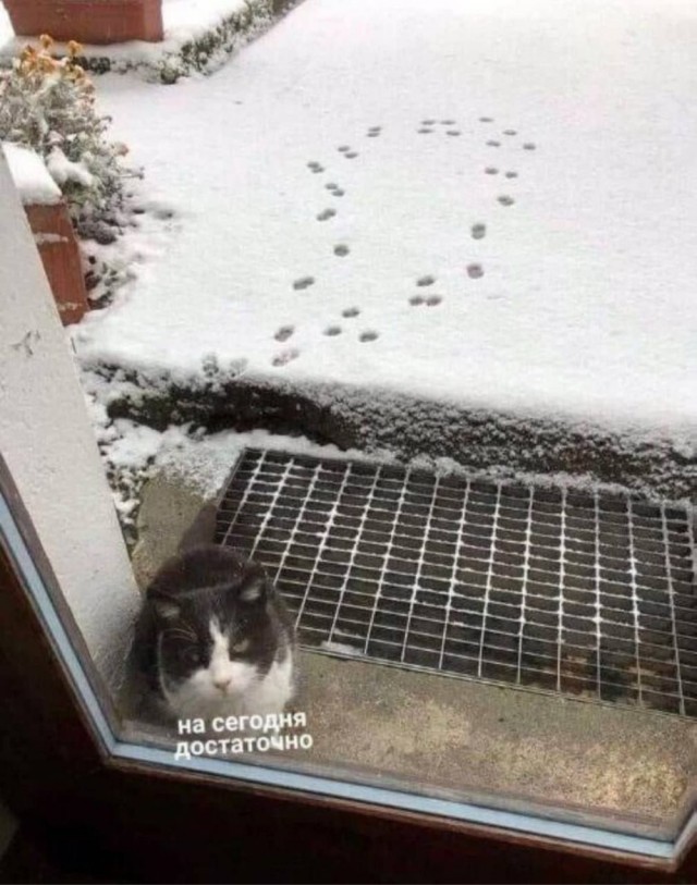 Воскресные картинки