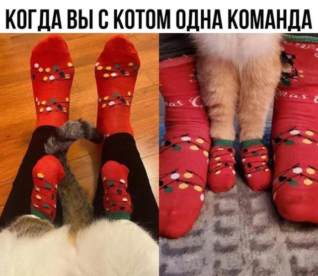Прикольные и просто красивые картинки 12.12.2025