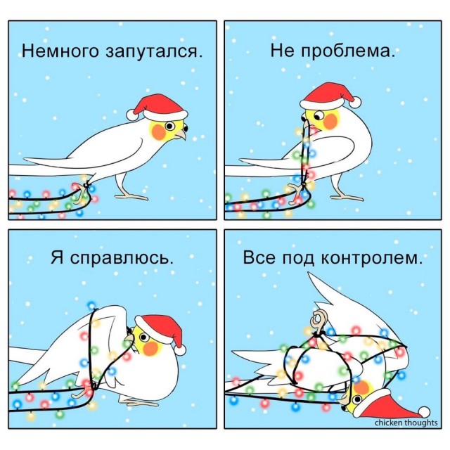 Прикольные и просто красивые картинки 06.01. 2026