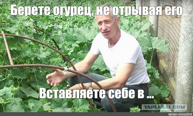 Желал зелени в новый год. Вот.