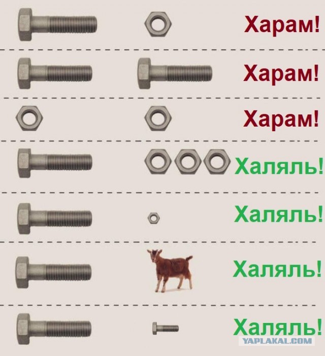 Хабиби отказался жать руку неверной