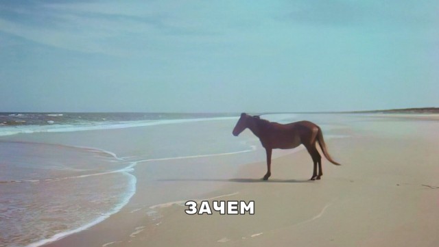 Цыган
